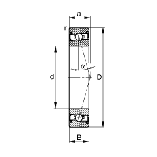 SS HSS71901-C-T-P4S, {Ɍb|  = 15㣬ɂȴܷ⣬ǽ|Ӈ